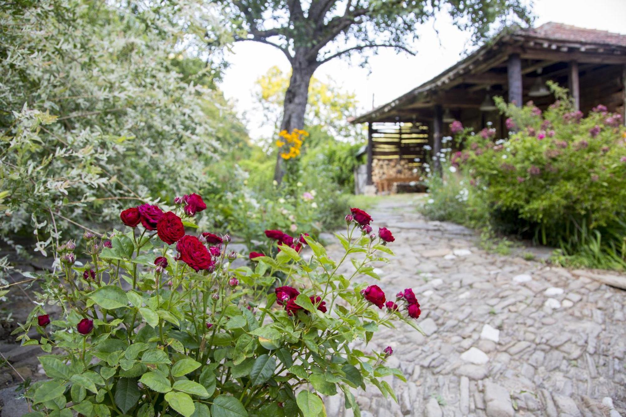Little River Guest House Gabrovo Exterior photo